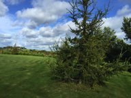 Killmuckridge House 